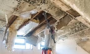 Best Residential Mold Inspection & Testing  in Merion Station, PA